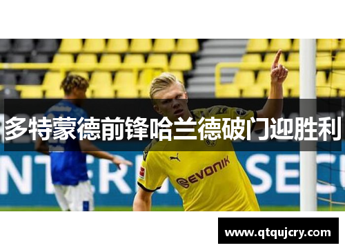 多特蒙德前锋哈兰德破门迎胜利